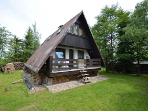 Nice holiday home in the Ore Mountains only 500m from the chairlift